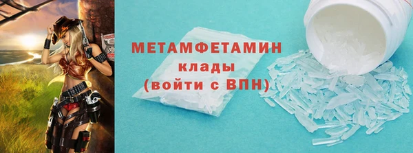 прущие грибы Нея