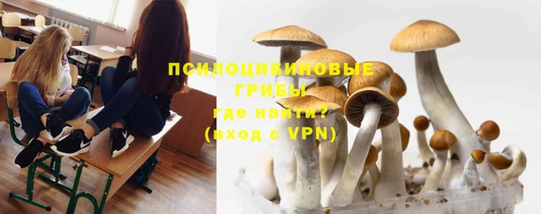 бошки Нефтекумск