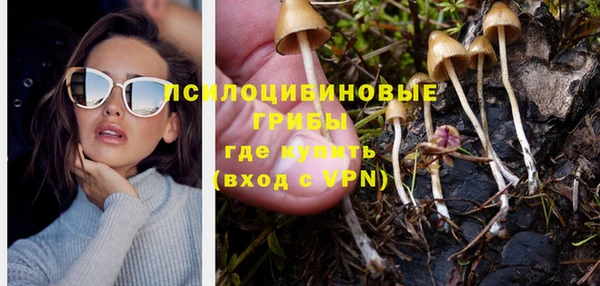 mdma Новозыбков