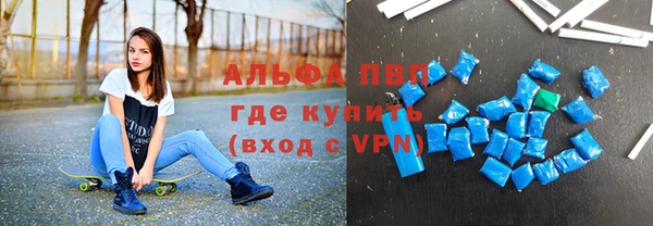 прущие грибы Нея