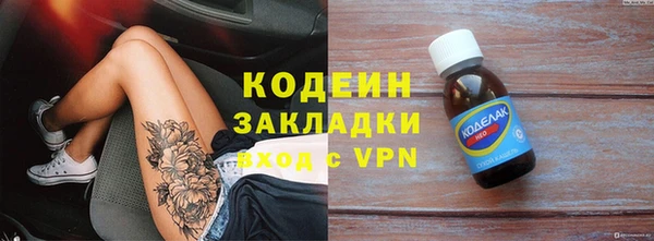прущие грибы Нея
