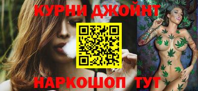 гидра Гатчина