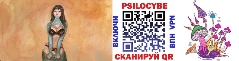 цена наркотик  Электрогорск  Галлюциногенные грибы прущие грибы 