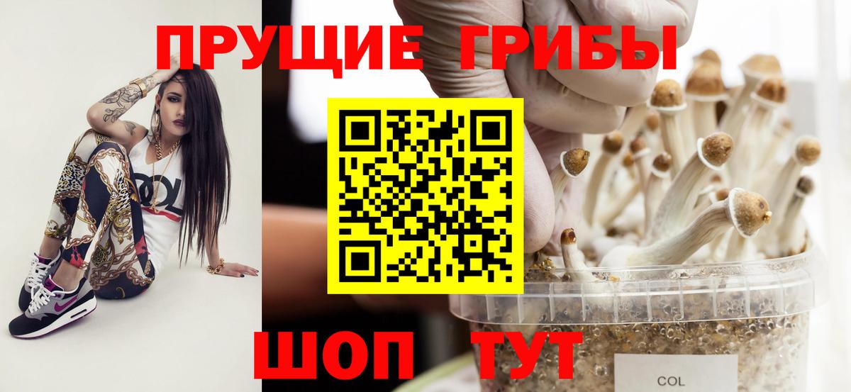 Псилоцибиновые грибы GOLDEN TEACHER  Вход с VPN  Электрогорск 
