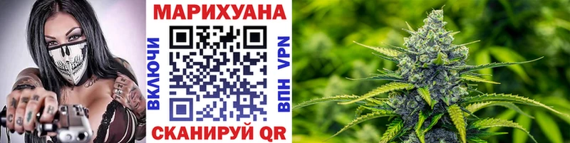 купить закладку  Электрогорск  Бошки марихуана конопля 